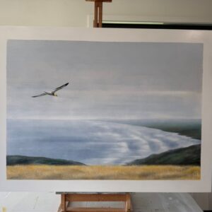 Muriwai Composition