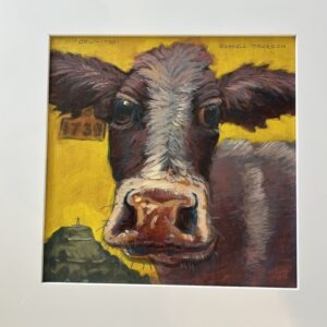 Cow 1730