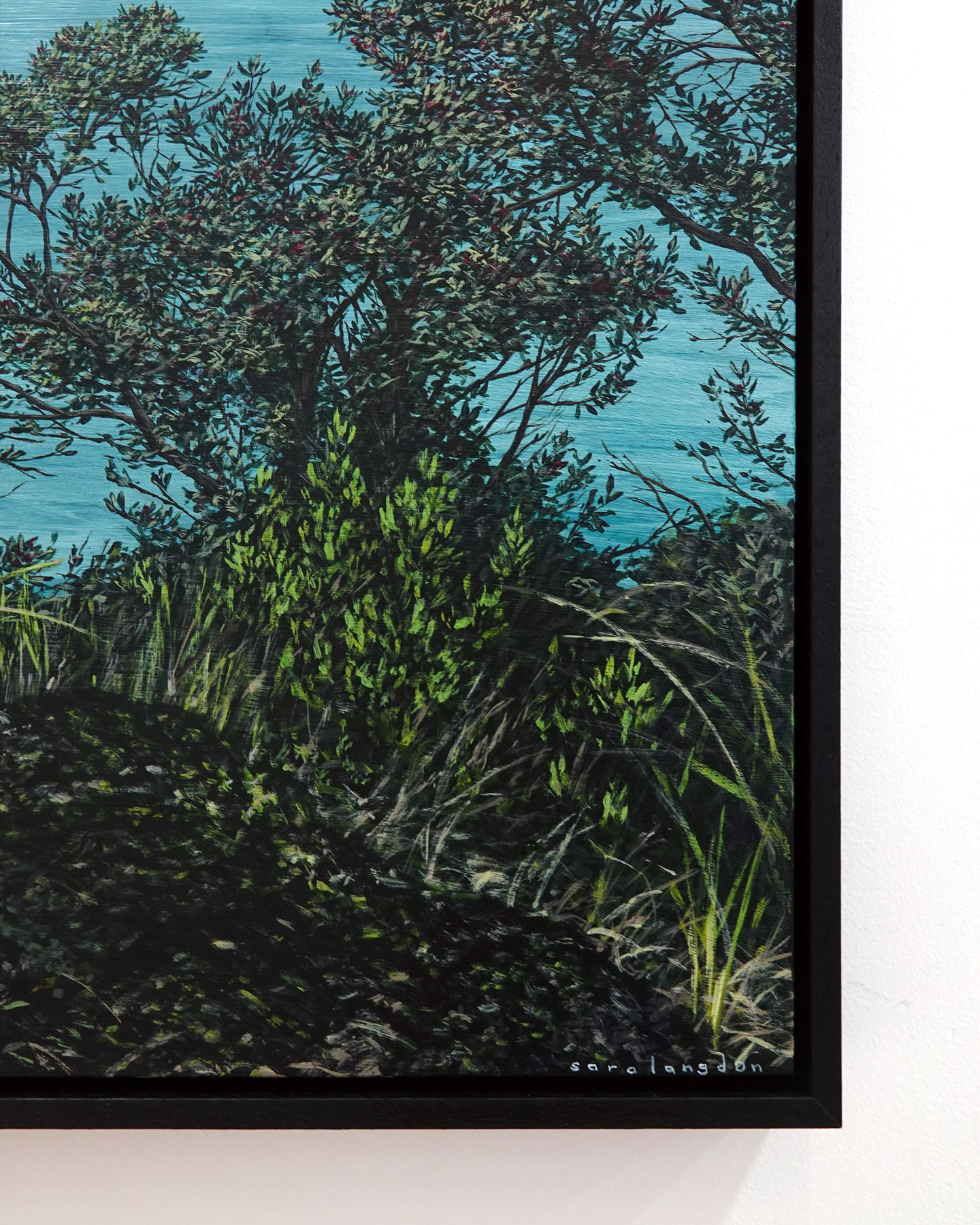 First Day of Summer, Rangitoto to Motutapu - Image 2