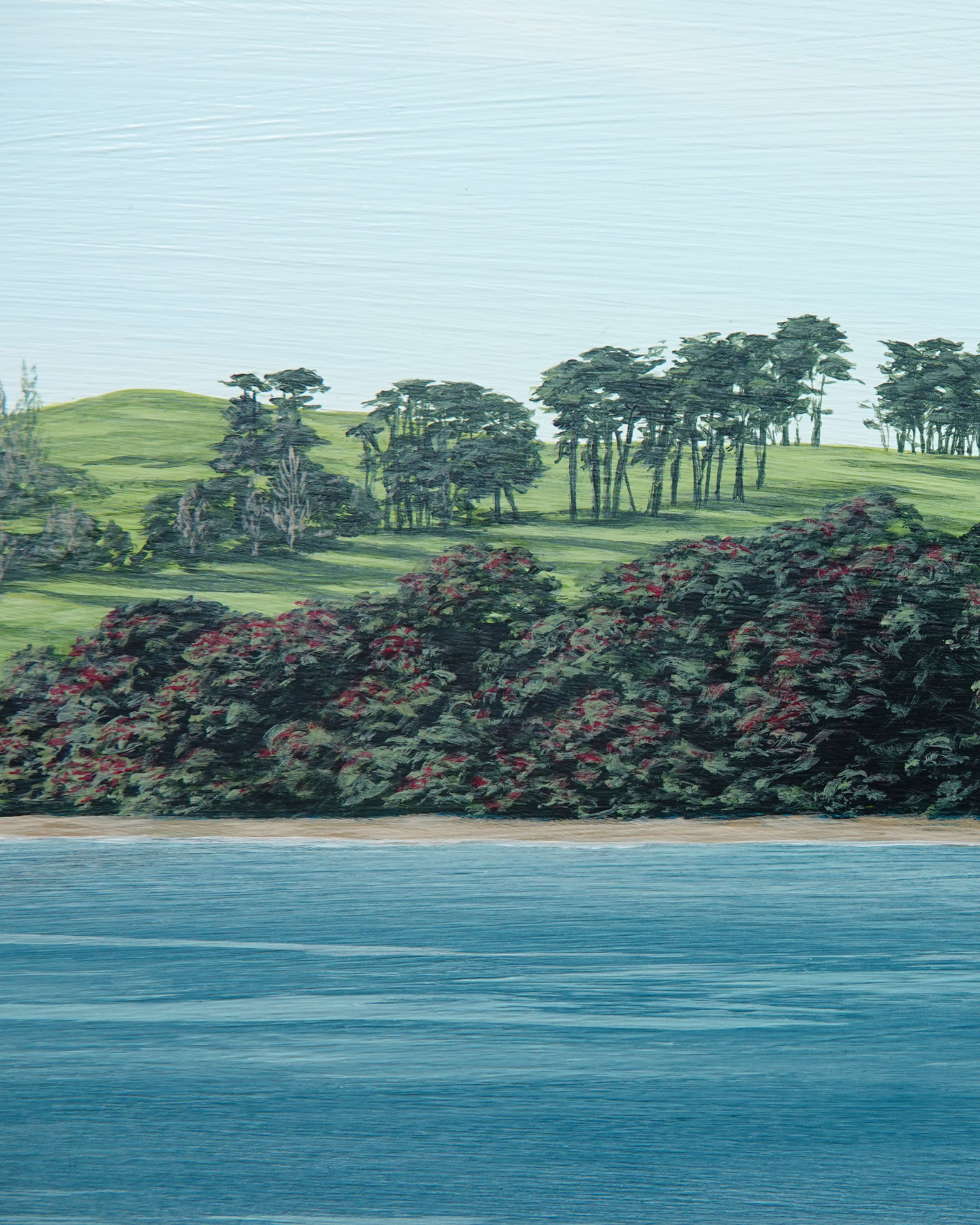First Day of Summer, Rangitoto to Motutapu - Image 3