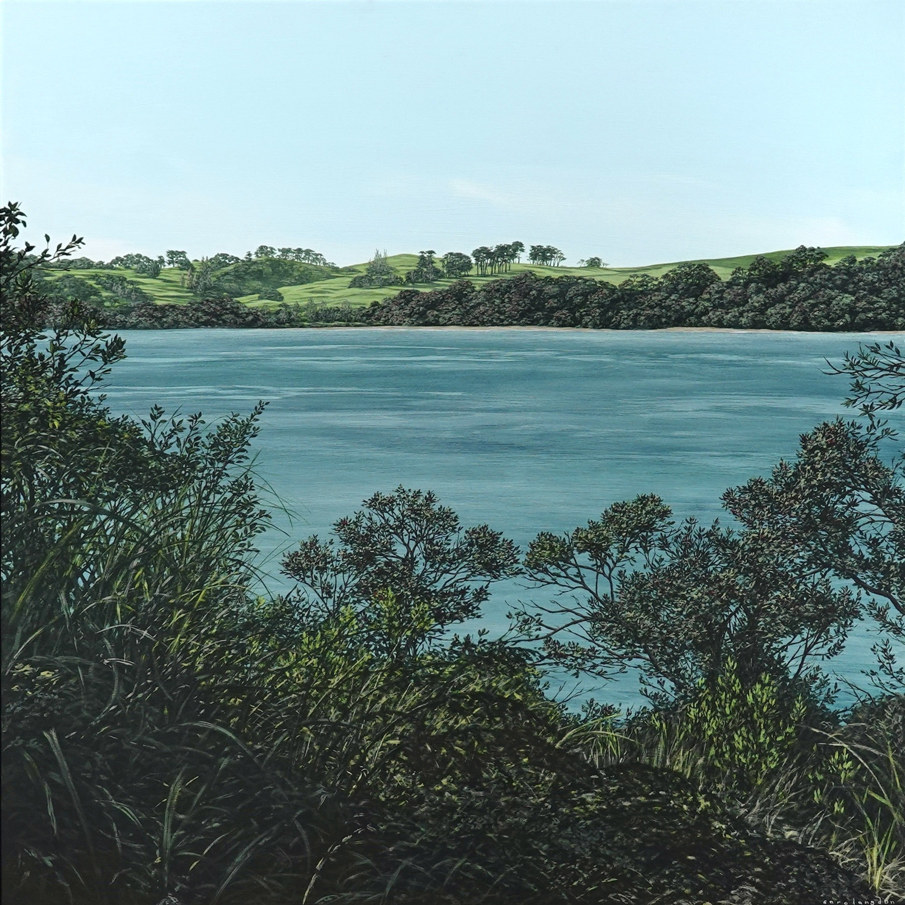 First Day of Summer, Rangitoto to Motutapu