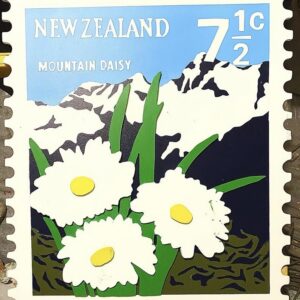 Mountain Daisy