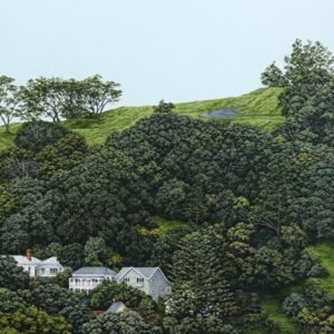 The Way the Land Lies II (Mt Eden)