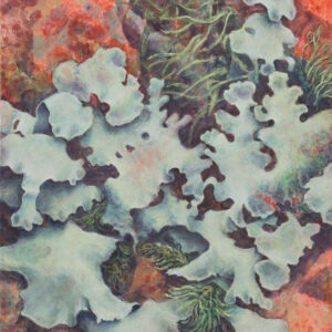 Porous Life